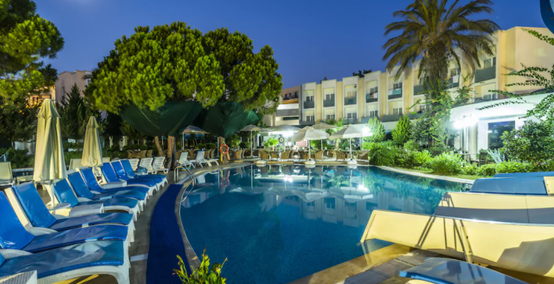 Bodrum Airport (BJV) Airport transportation