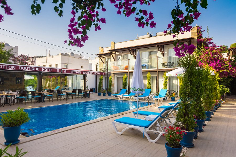 Bodrum Airport (BJV) Airport transportation