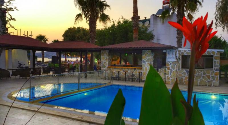 Bodrum Airport (BJV) Airport transportation