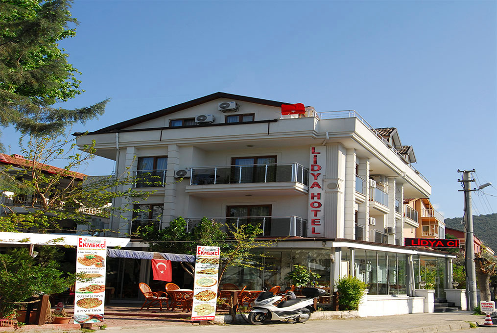 Ortaca Ogogar Airport transportation
